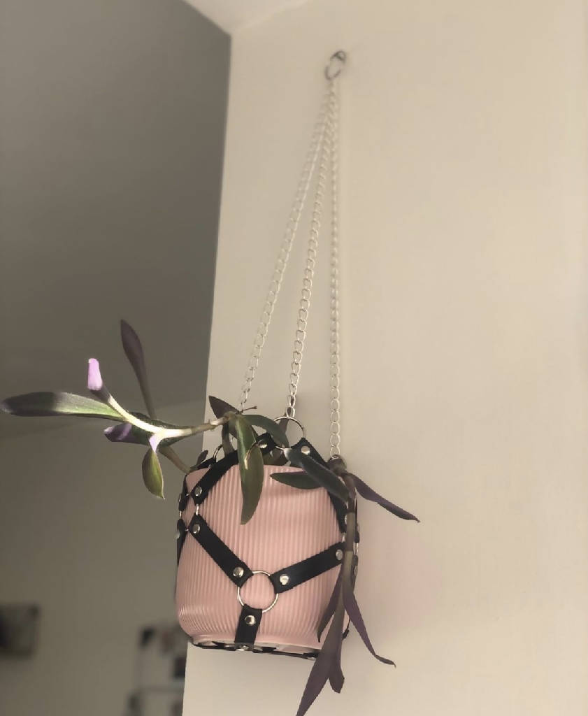bdsm plant hanger Harness and Chain Plant Hanger – Charmskool Shop