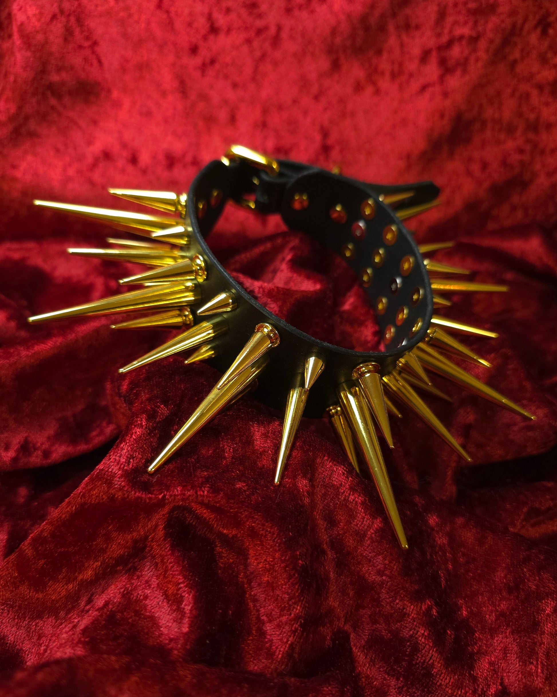 Black leather collar with gold spikes on a red textured background