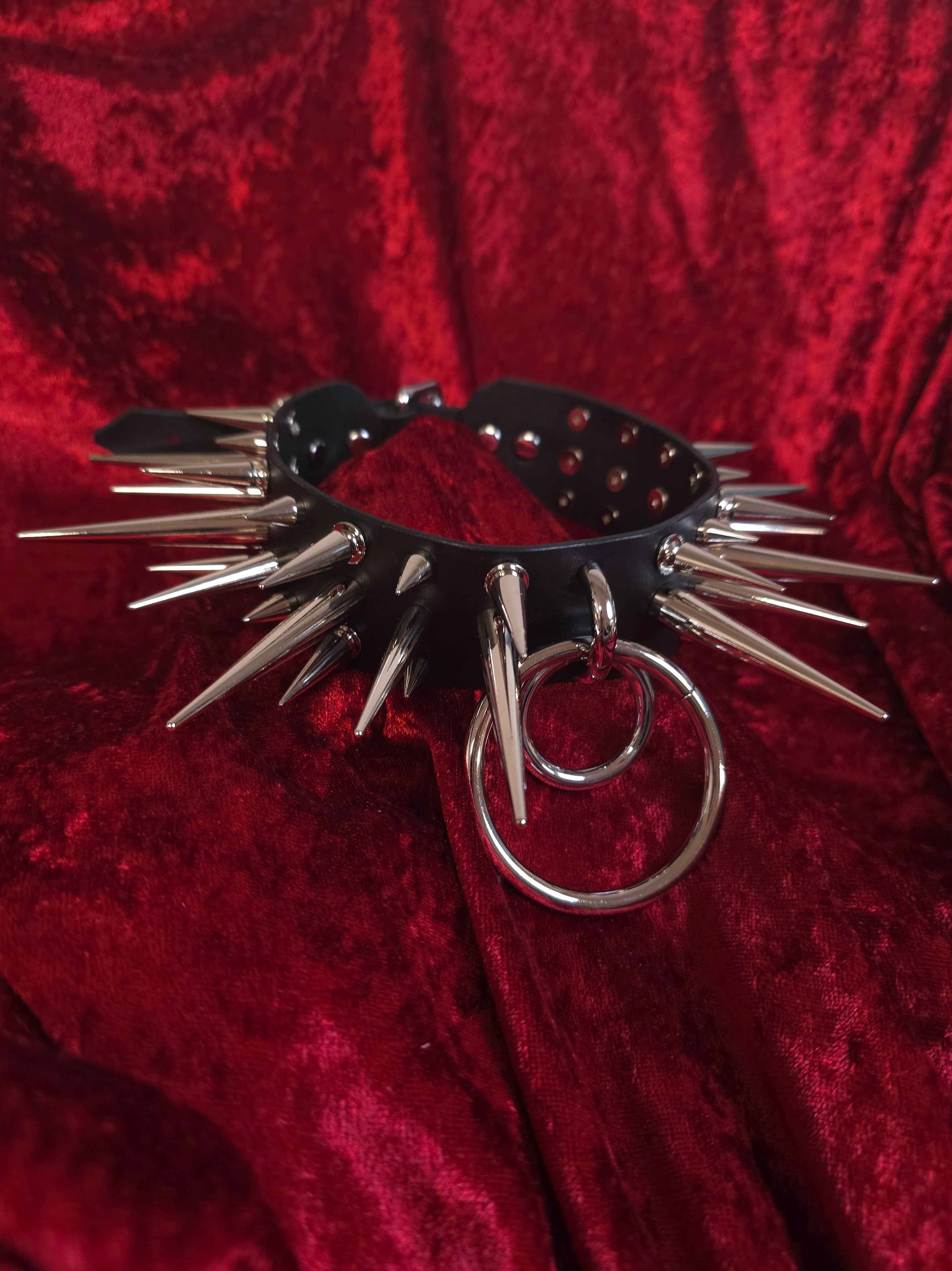 Spiked collar with metal rings on a red textured background