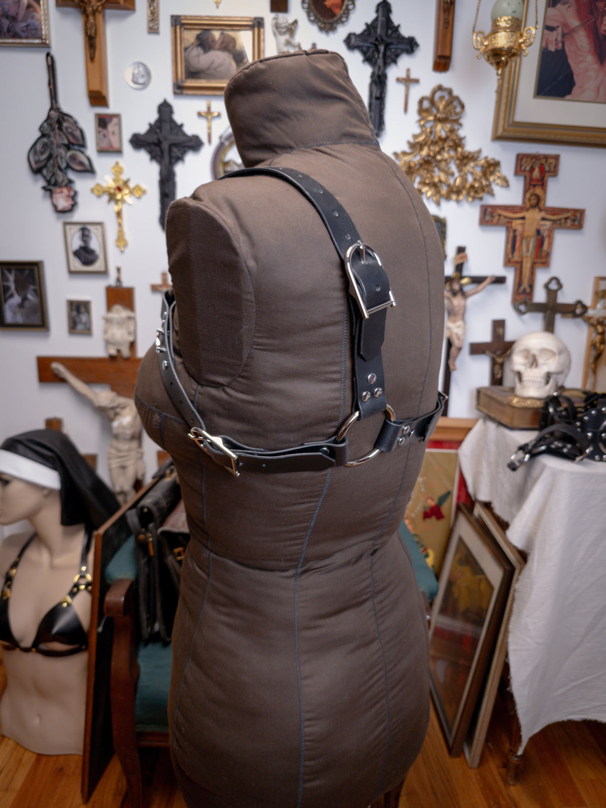 Sebastian Harness