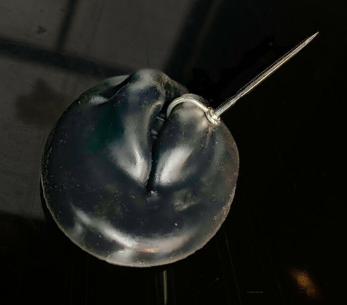 59054D94-0332-448B-BF77-3682E0265EF3