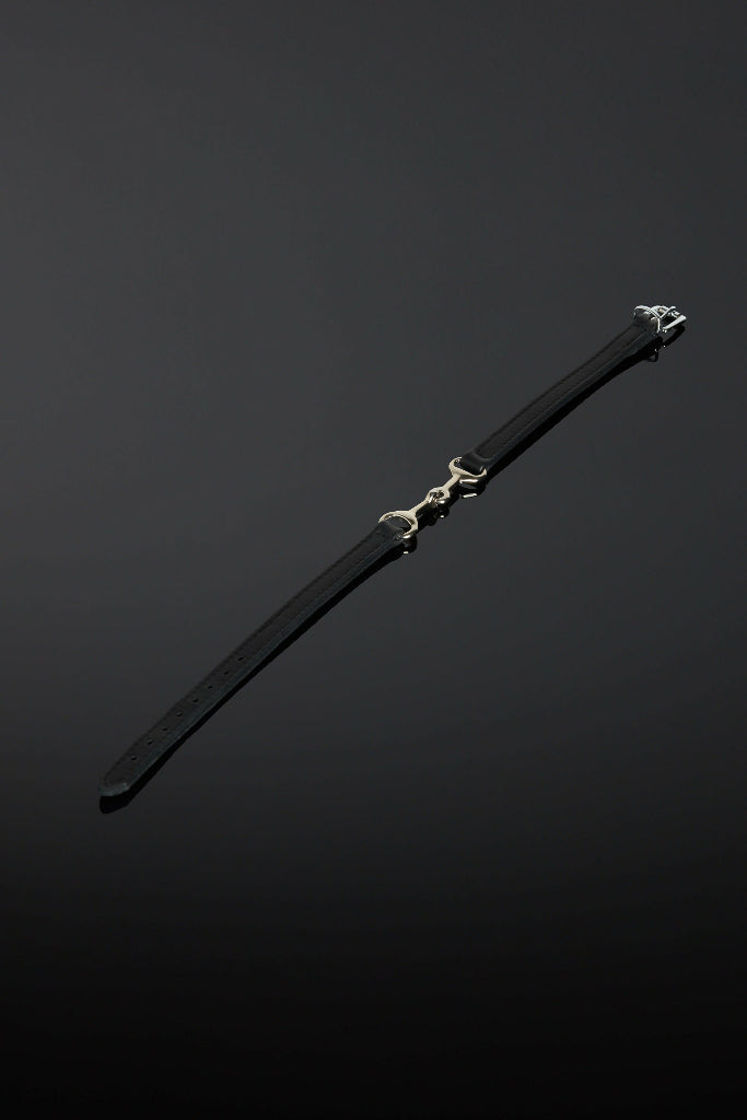 Eques Collar (2)
