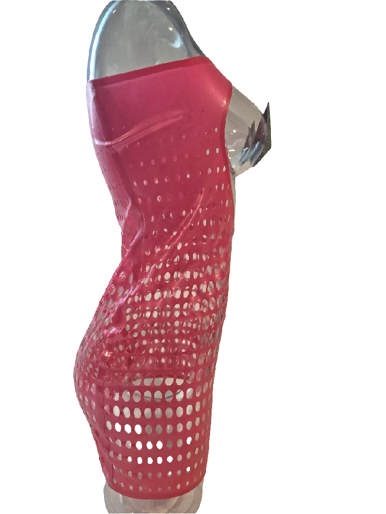 Latex Open Net Dress