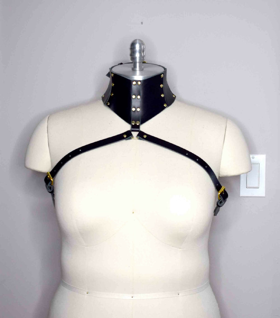 Stigma Leather Posture Collar Harness