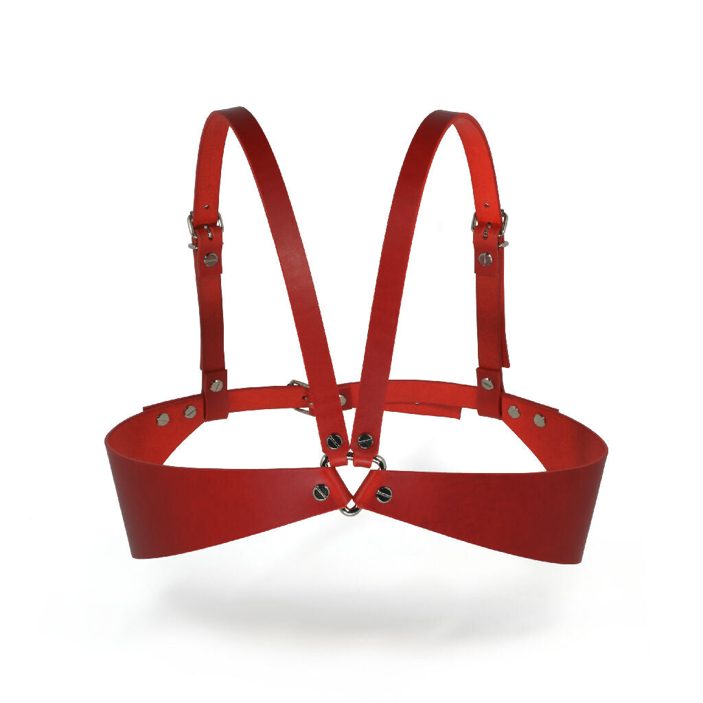 Leather Bra Harness