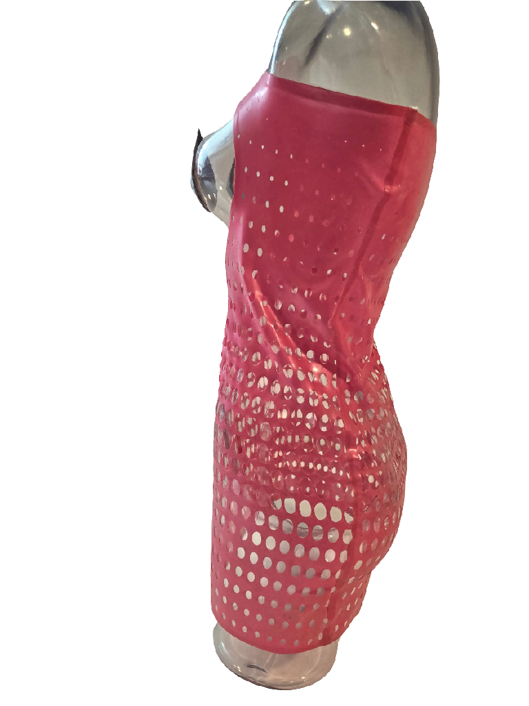 Latex Open Net Dress
