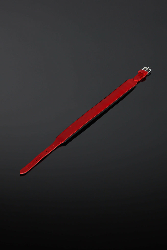 Rouge Eclipse Collar (2)