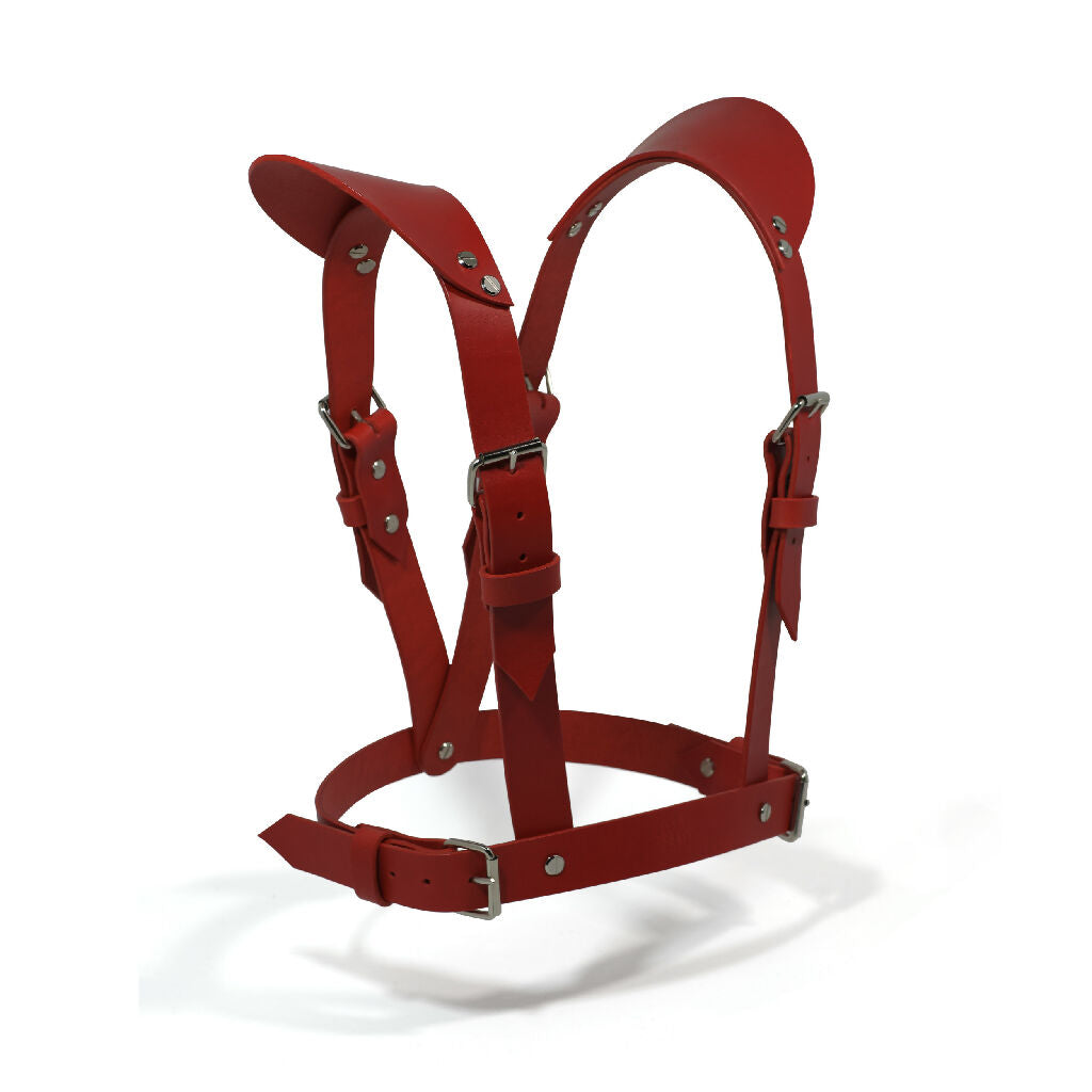 Leather Harness Futuristic
