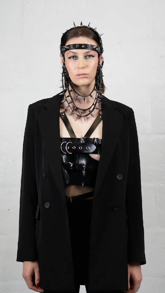 Leather Head Harness 