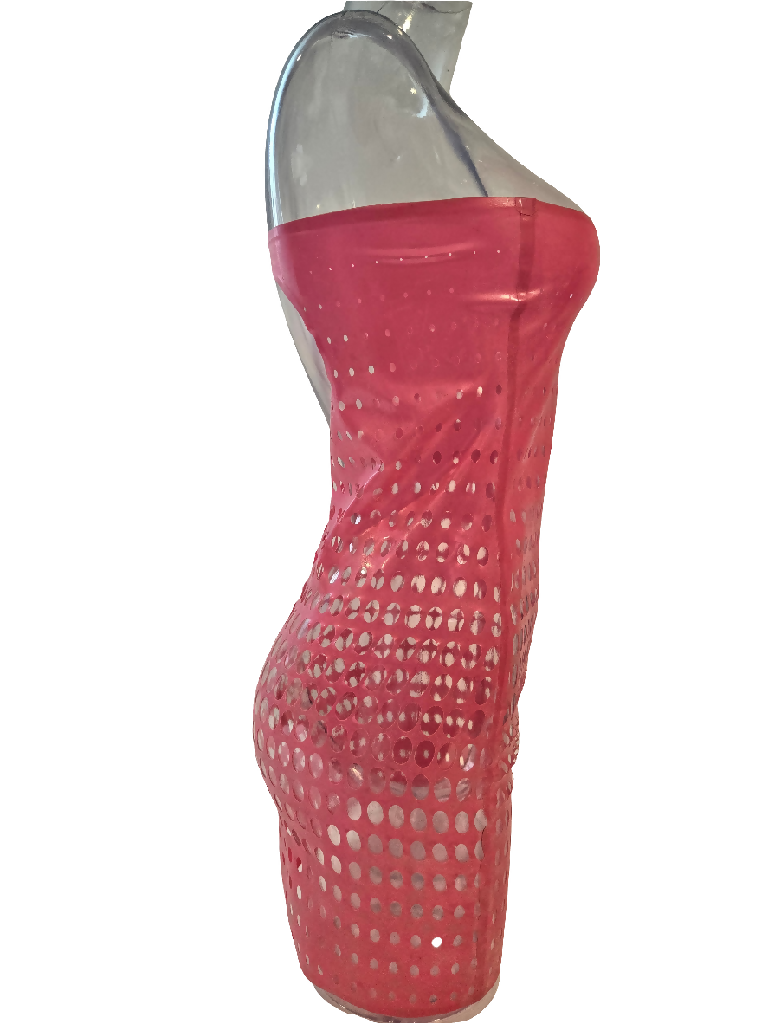 Latex Open Net Dress