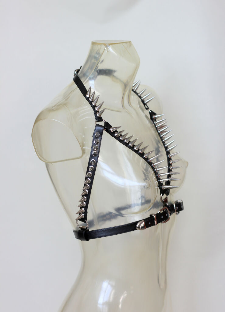 Chest harness with studs