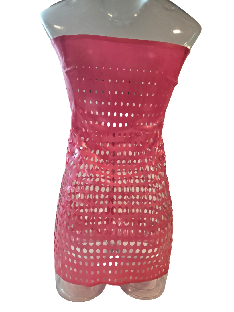 Latex Open Net Dress