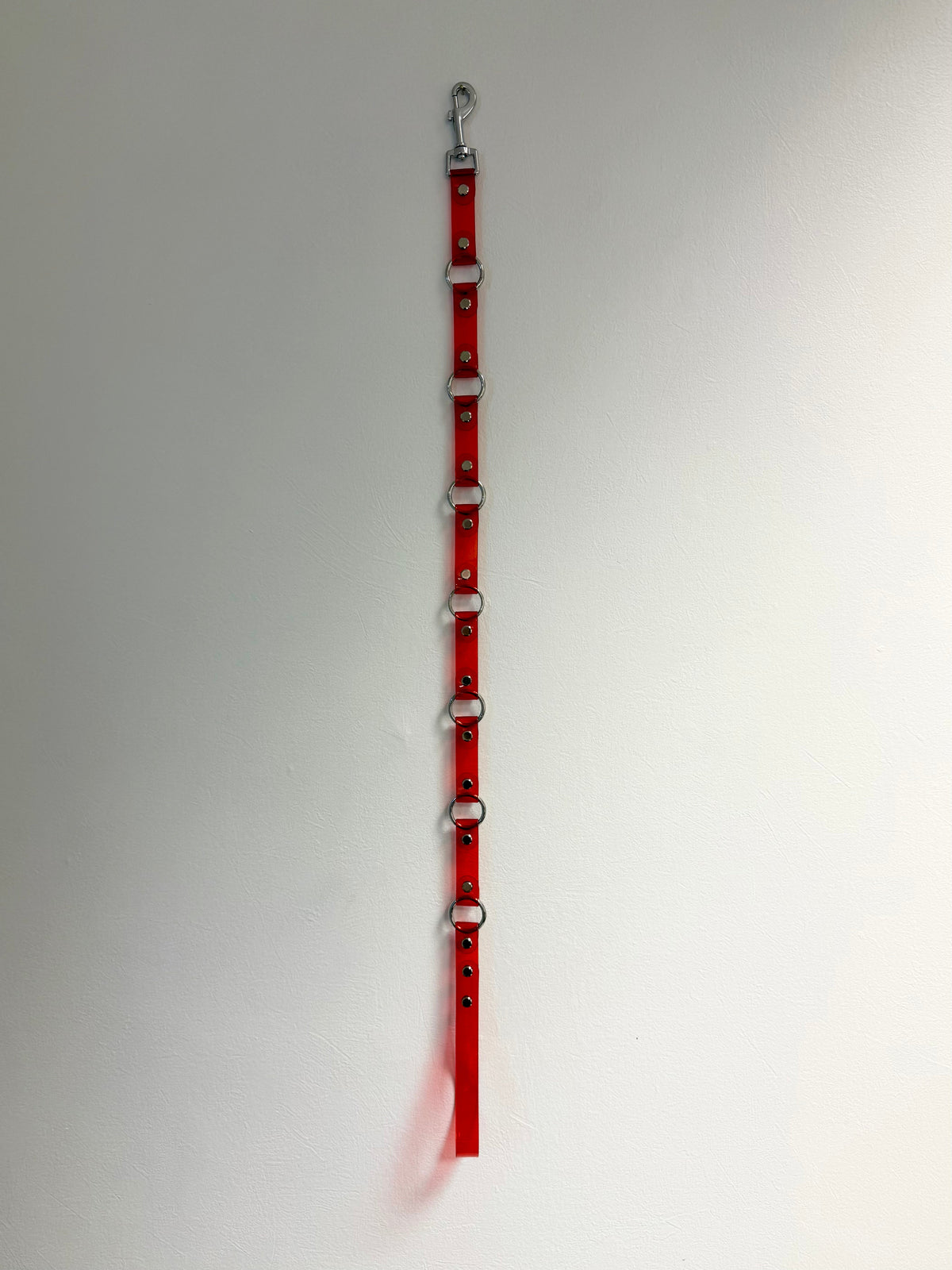 O-ring Leash