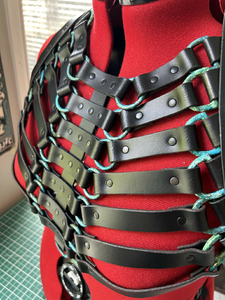 carapace