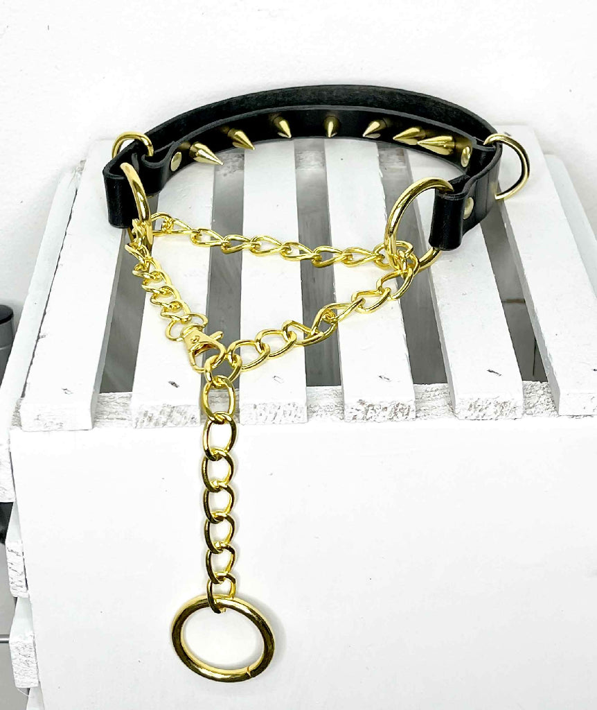 Compliance Spiked Leather Martingale Collar