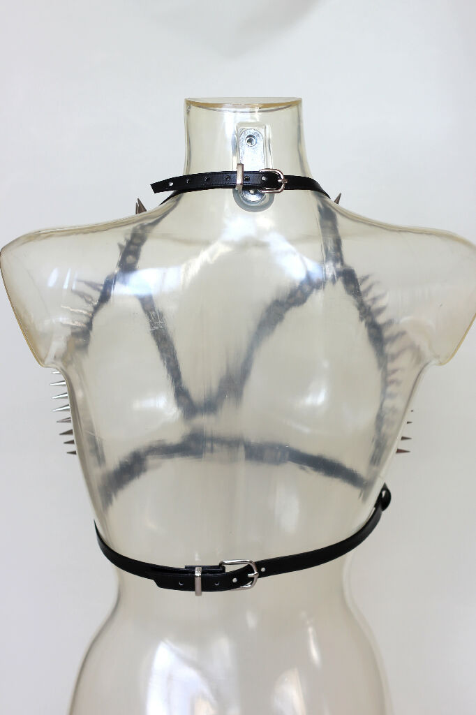 Chest harness with studs