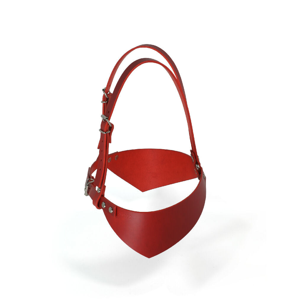 Leather Bra Harness