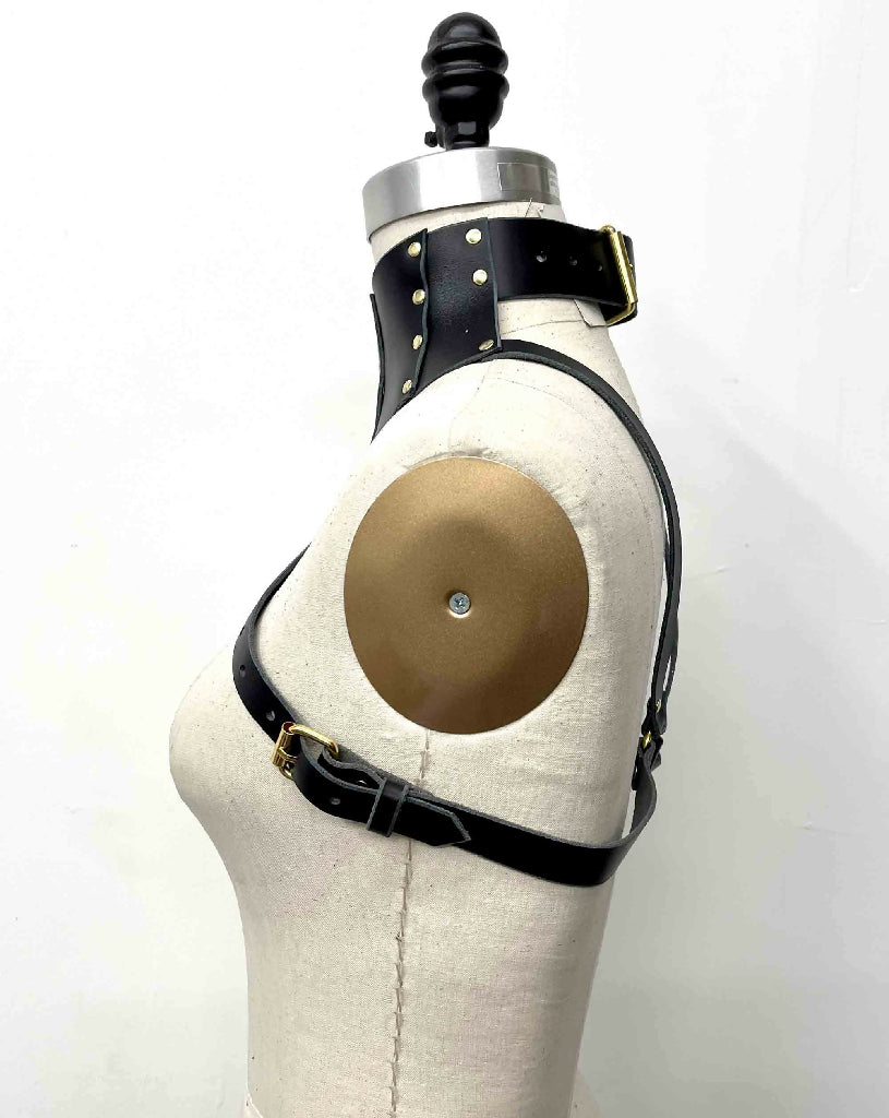 Stigma Leather Posture Collar Harness