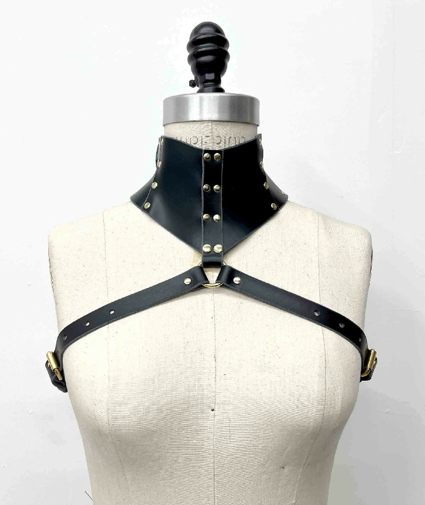 Stigma Leather Posture Collar Harness