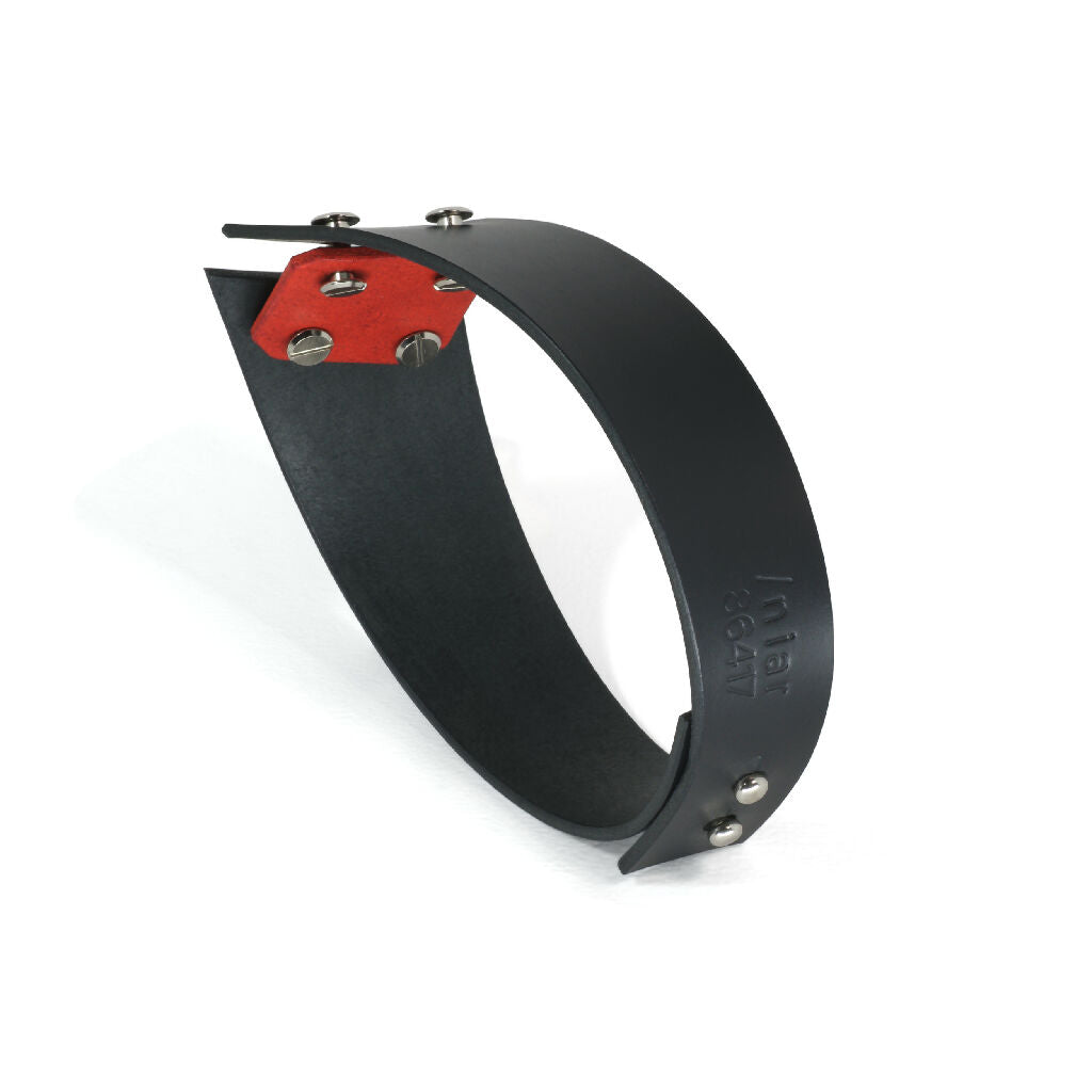 Versatile Leather Choker