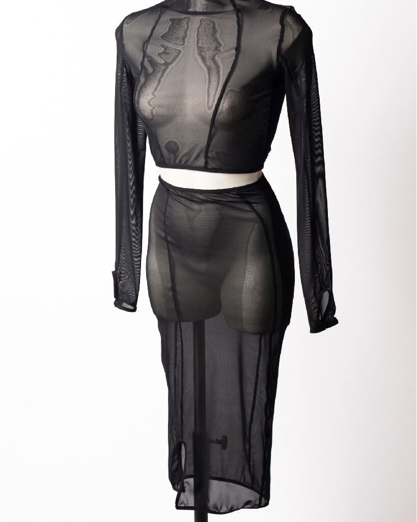 sheer-pencil-skirt-ammit-iona-smith-scott-4x5