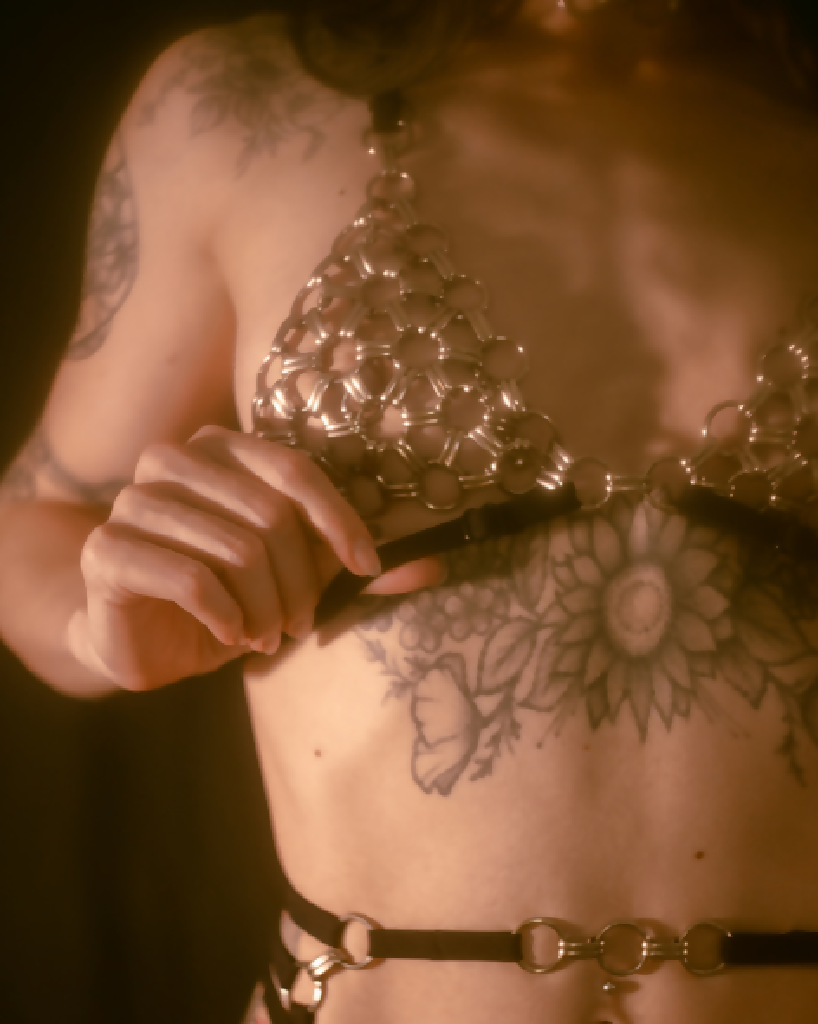 chainmail-cage-bra-kasanagi-asami-iona-smith-scott-4x5-closeup