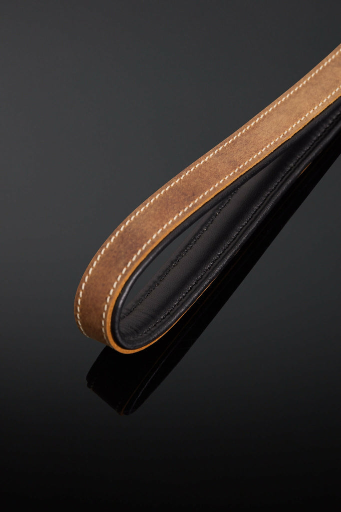Terra Leash (1)
