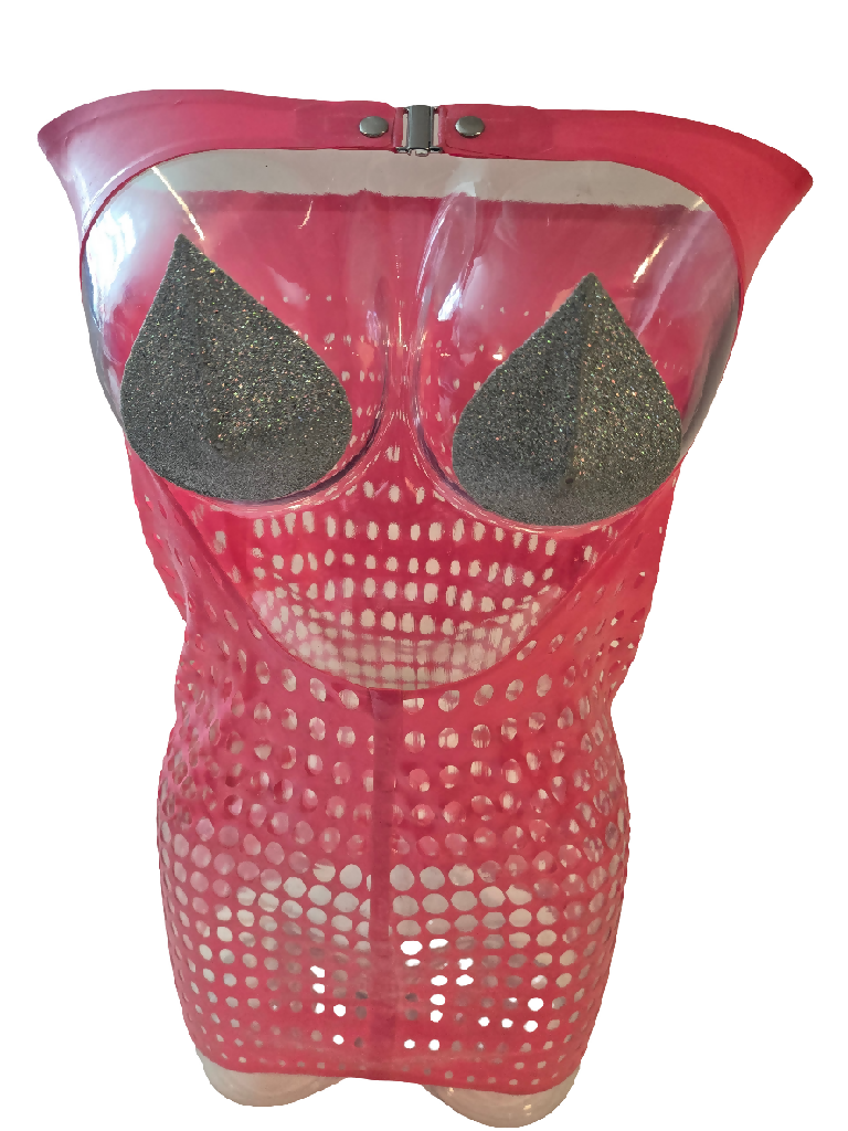 Latex Open Net Dress