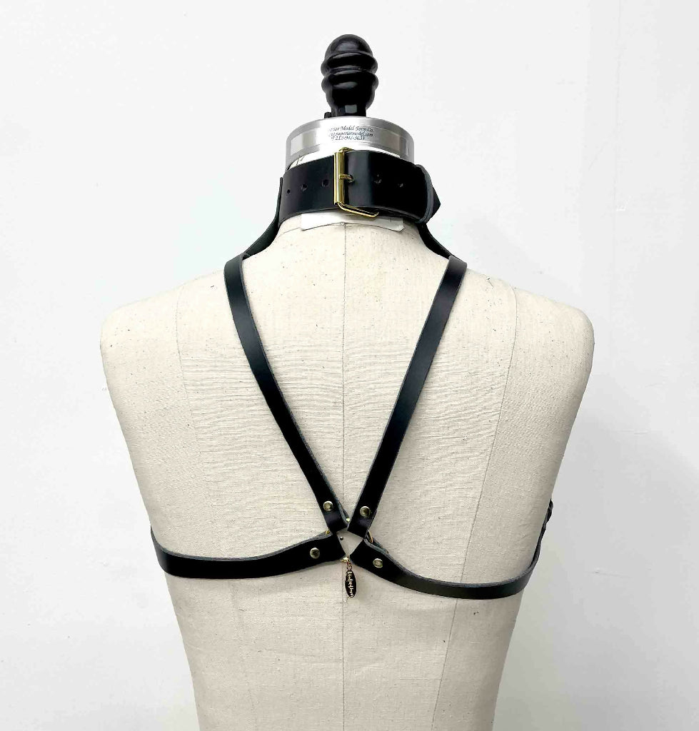 Stigma Leather Posture Collar Harness