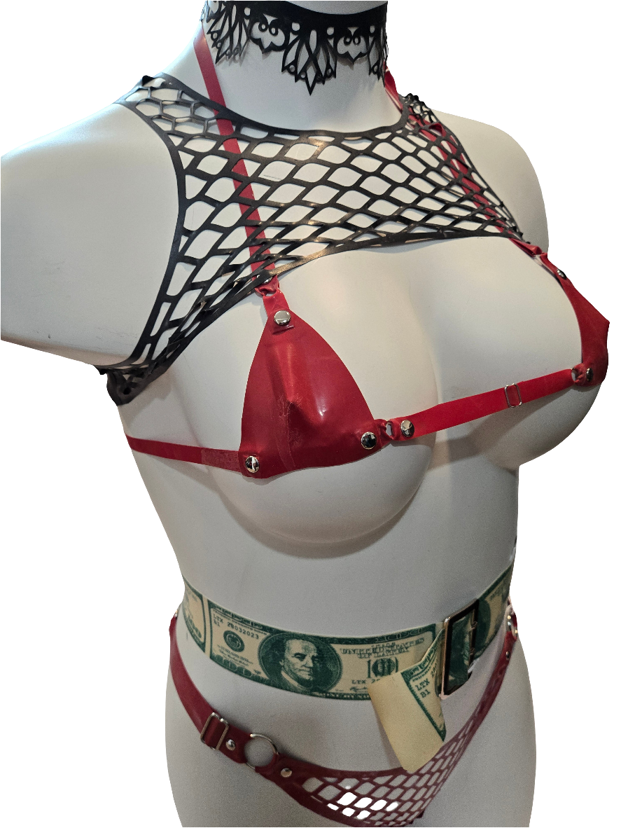 Net Pantie