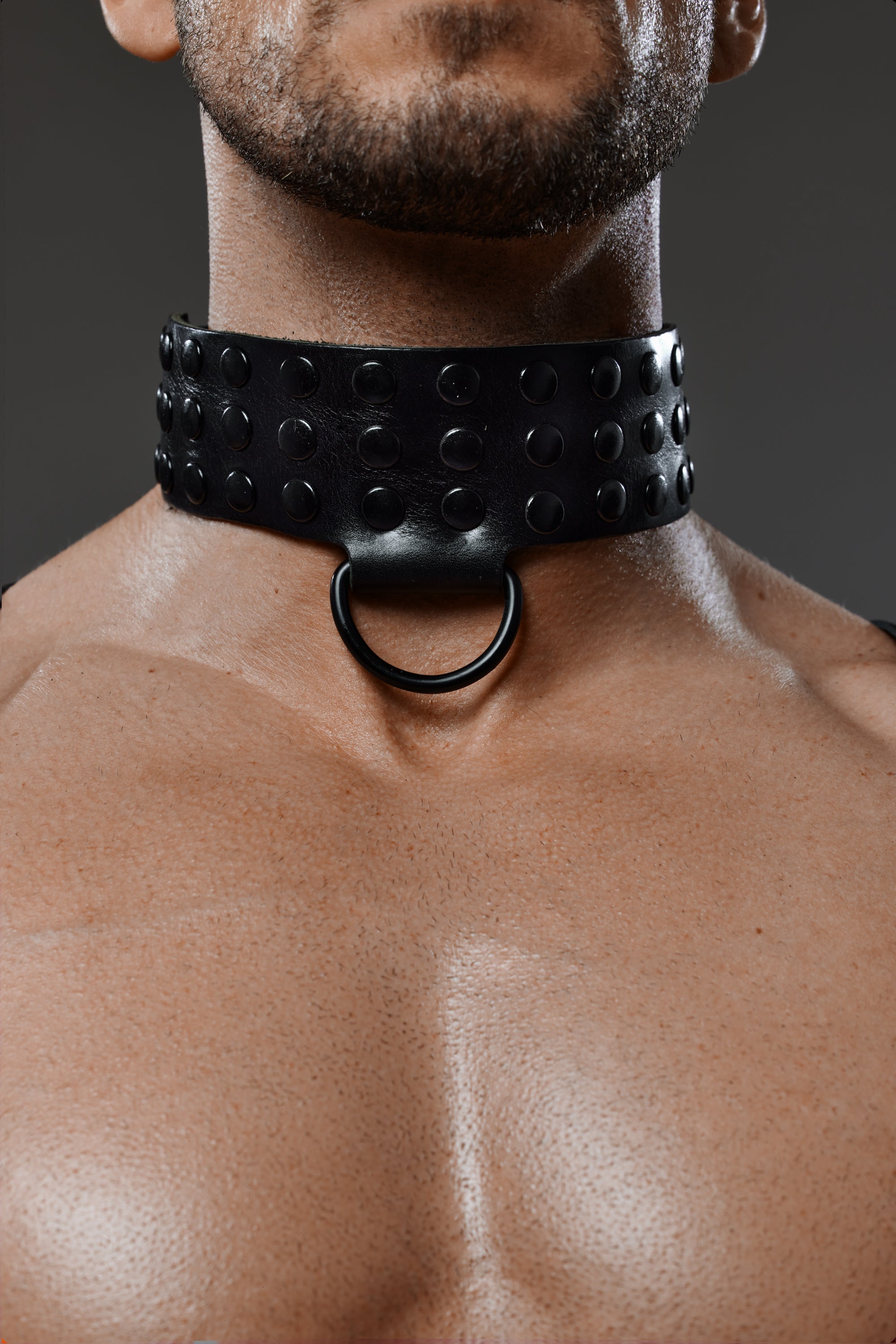 Collar "Alex"