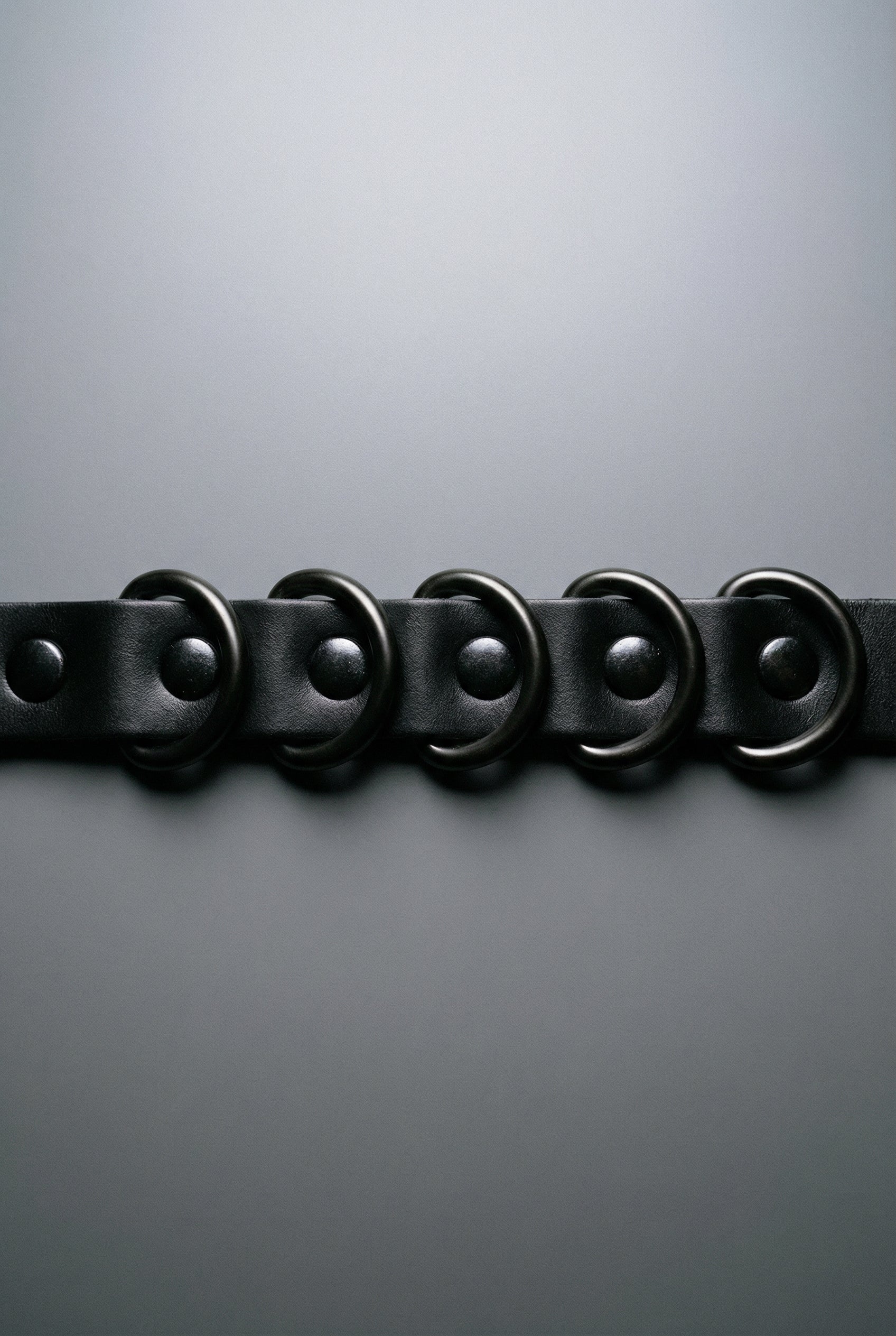 BDSM Collar "DAKOTA"