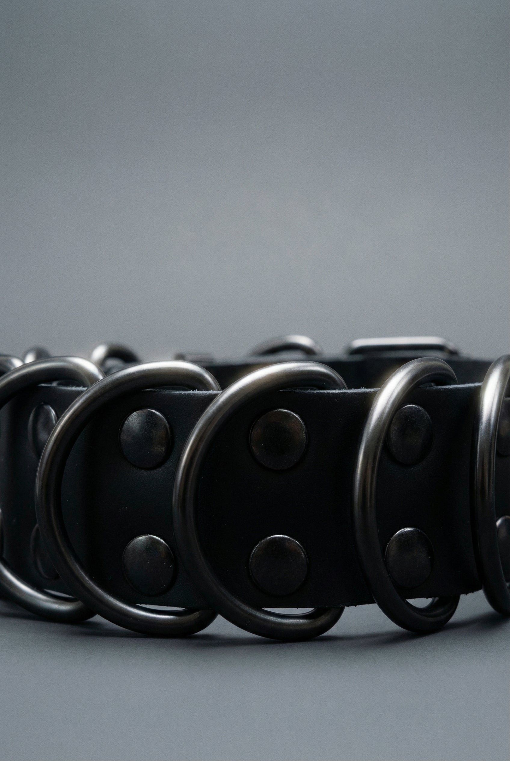 BDSM Collar "DASH"