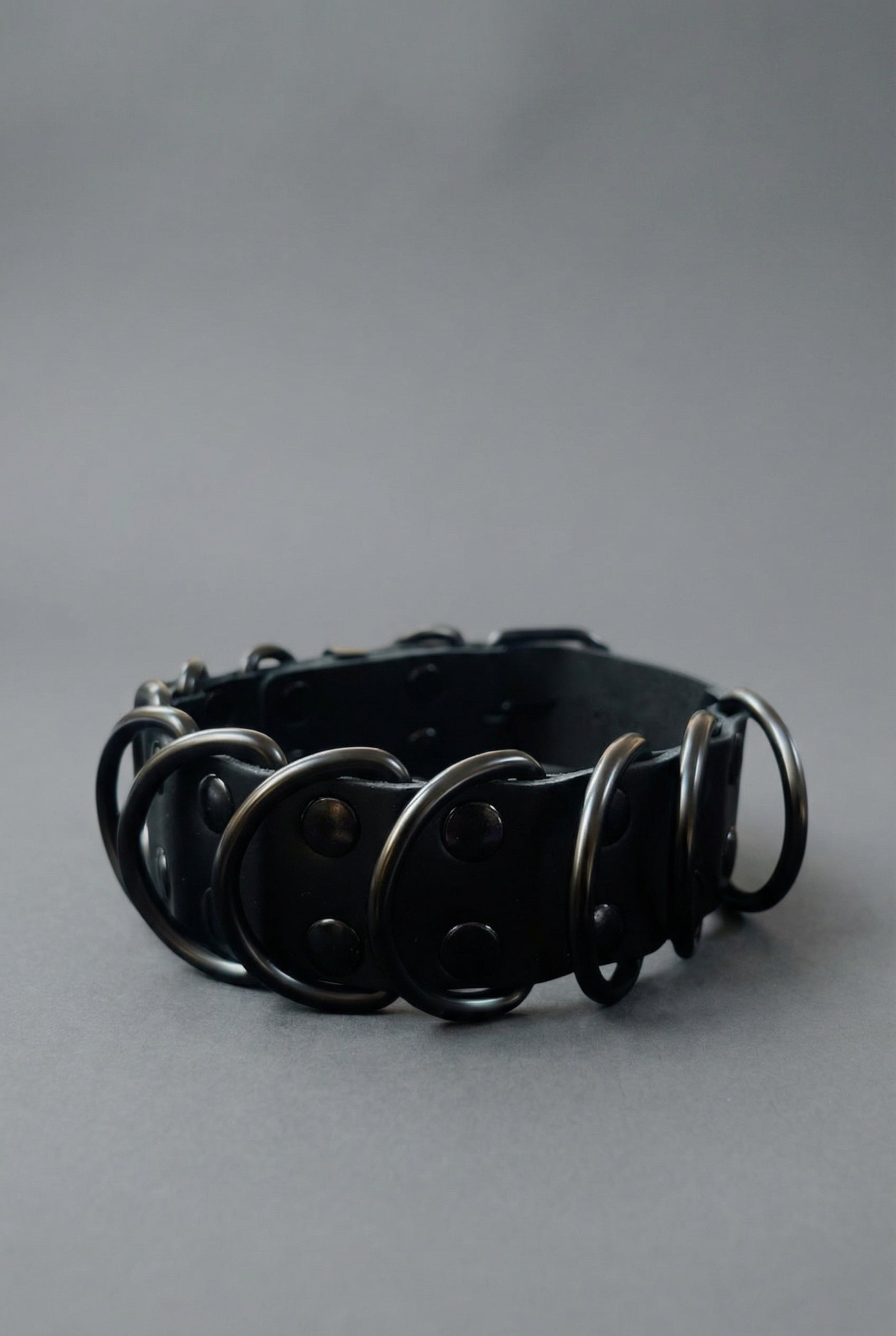 BDSM Collar "DASH"