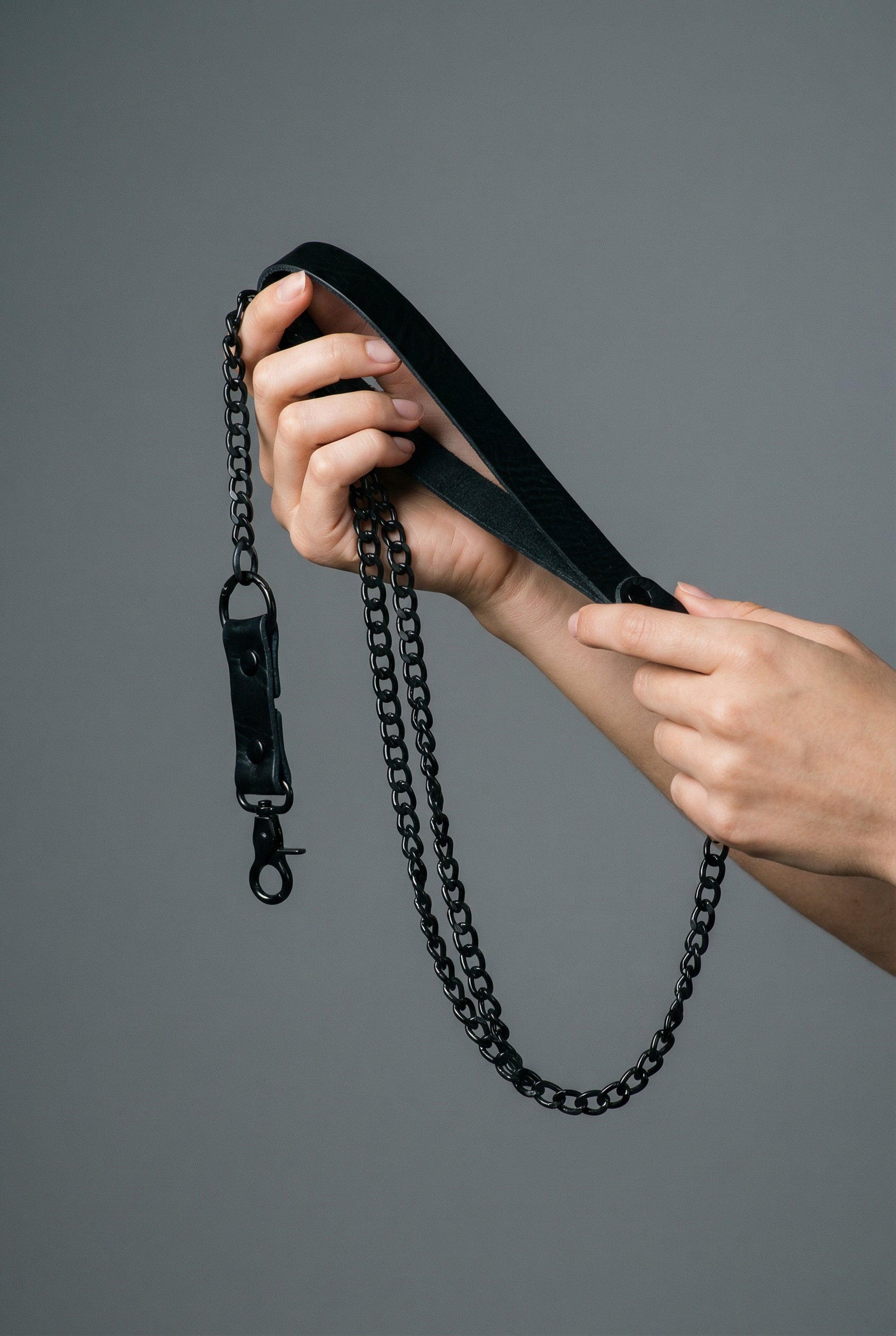 Leash with Chain