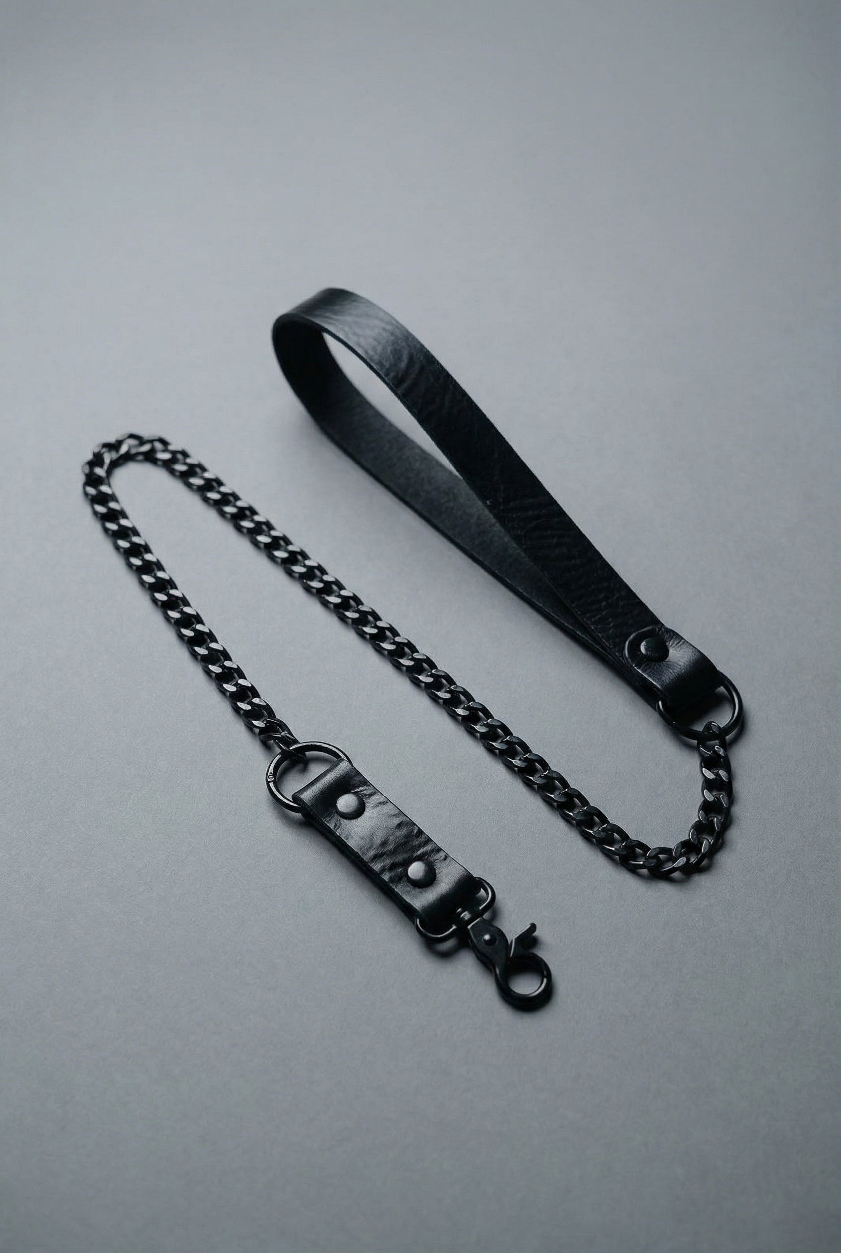Leash with Chain