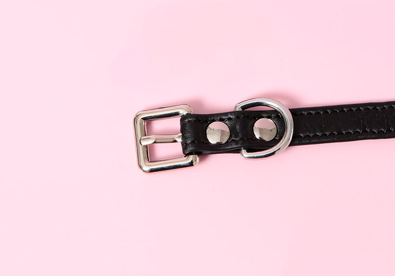 close-up of a black leather collar showing the stainless steel plated buckle, rivets and D ring, displayed on a pink background.