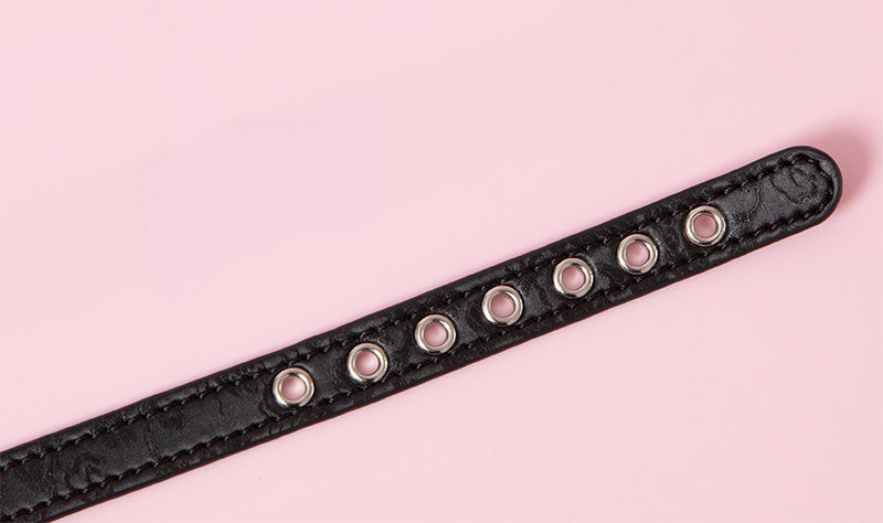 close-up of a black leather collar showing multiple sizing holes, displayed on a pink background.