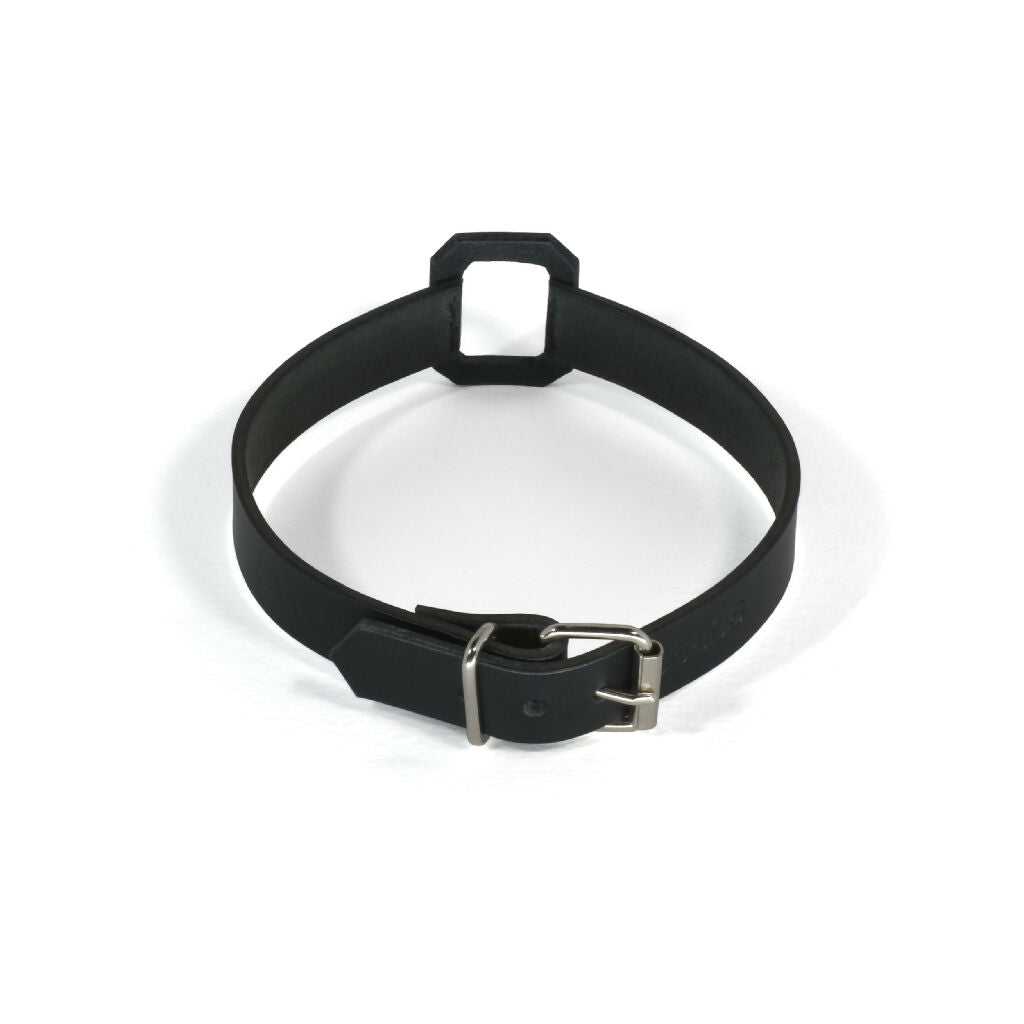 Leather Choker Elegant