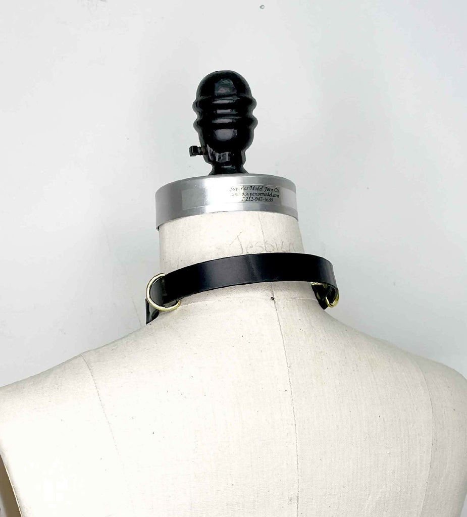 Compliance Spiked Leather Martingale Collar