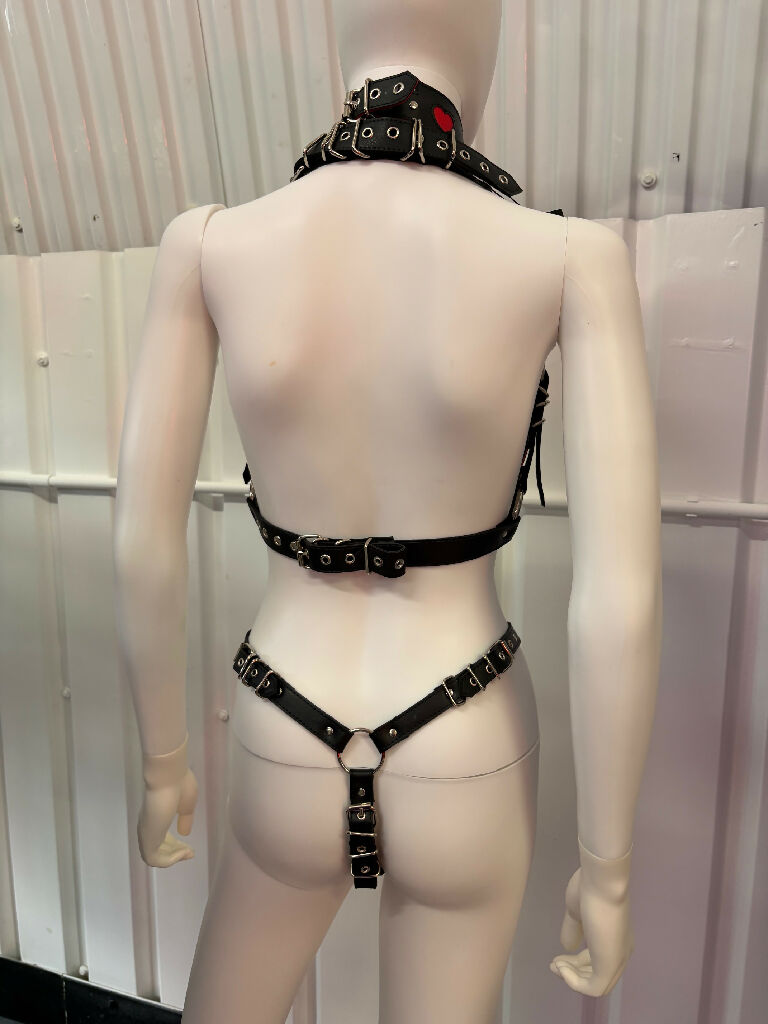 Red & Black 'Queen of Hearts' Bra, Thong & Collar Set.