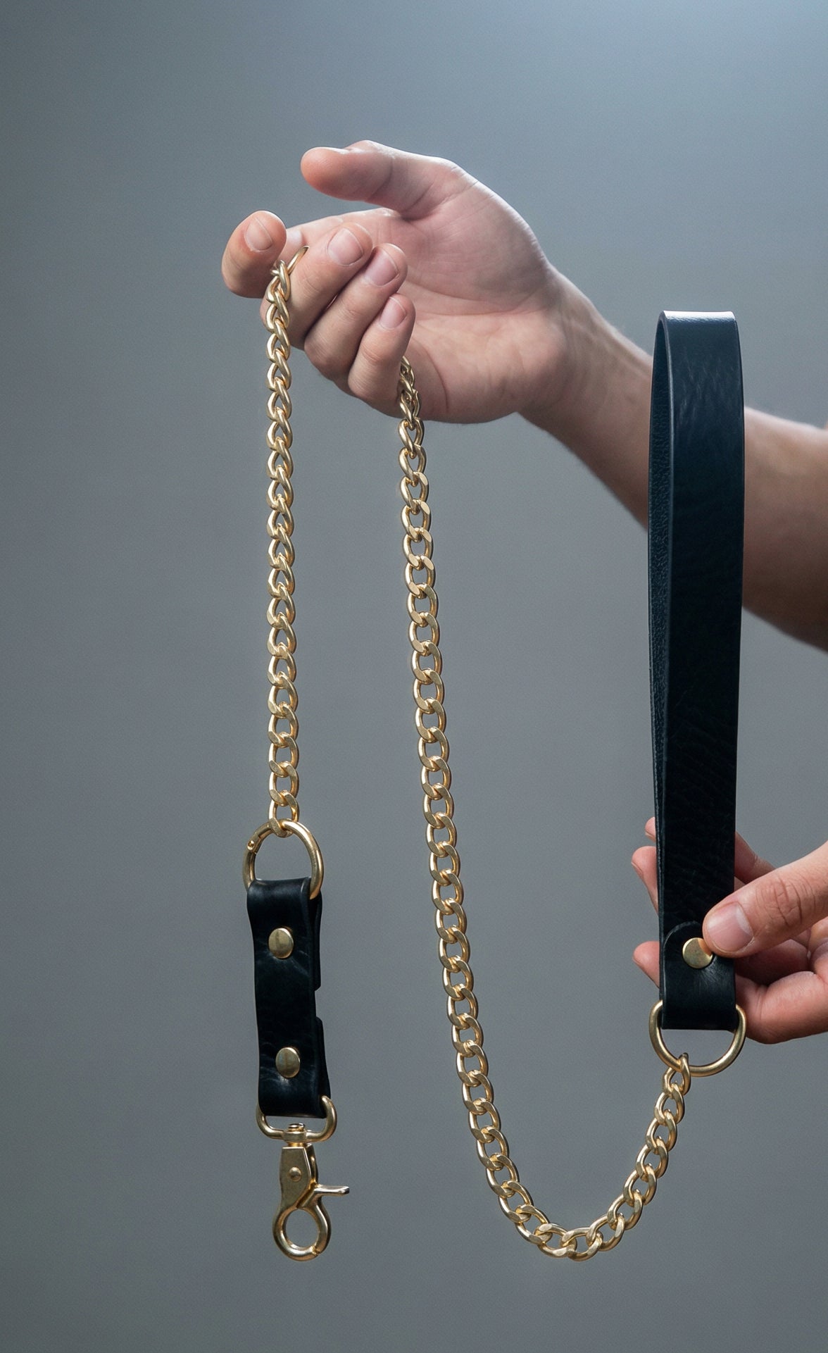 Leash with Chain