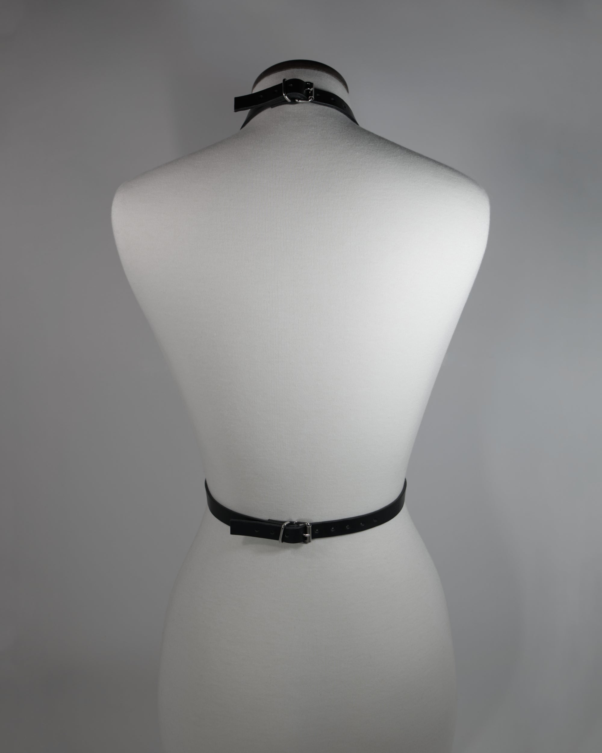 Thorn Leather Harness