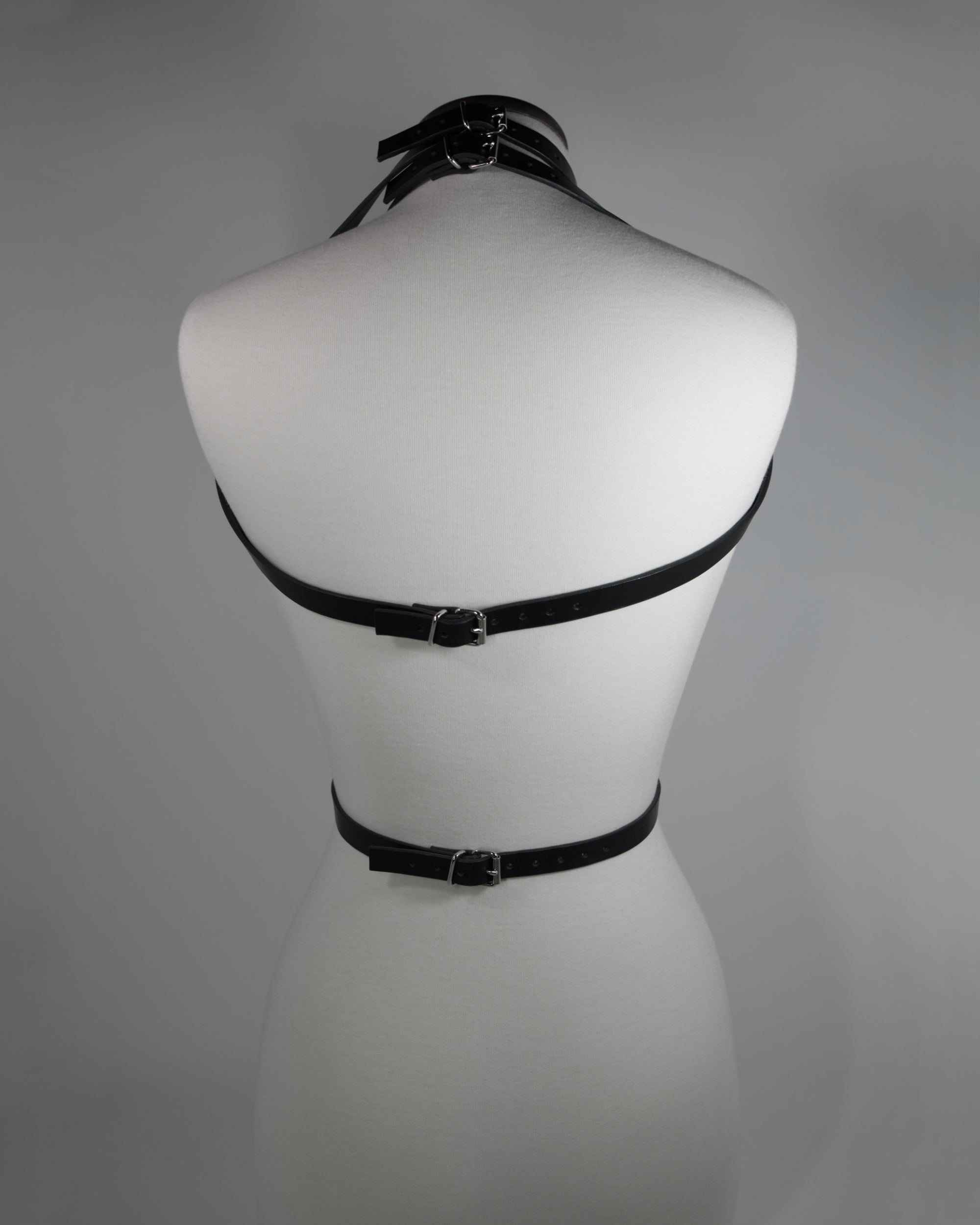 Thorn Leather Harness