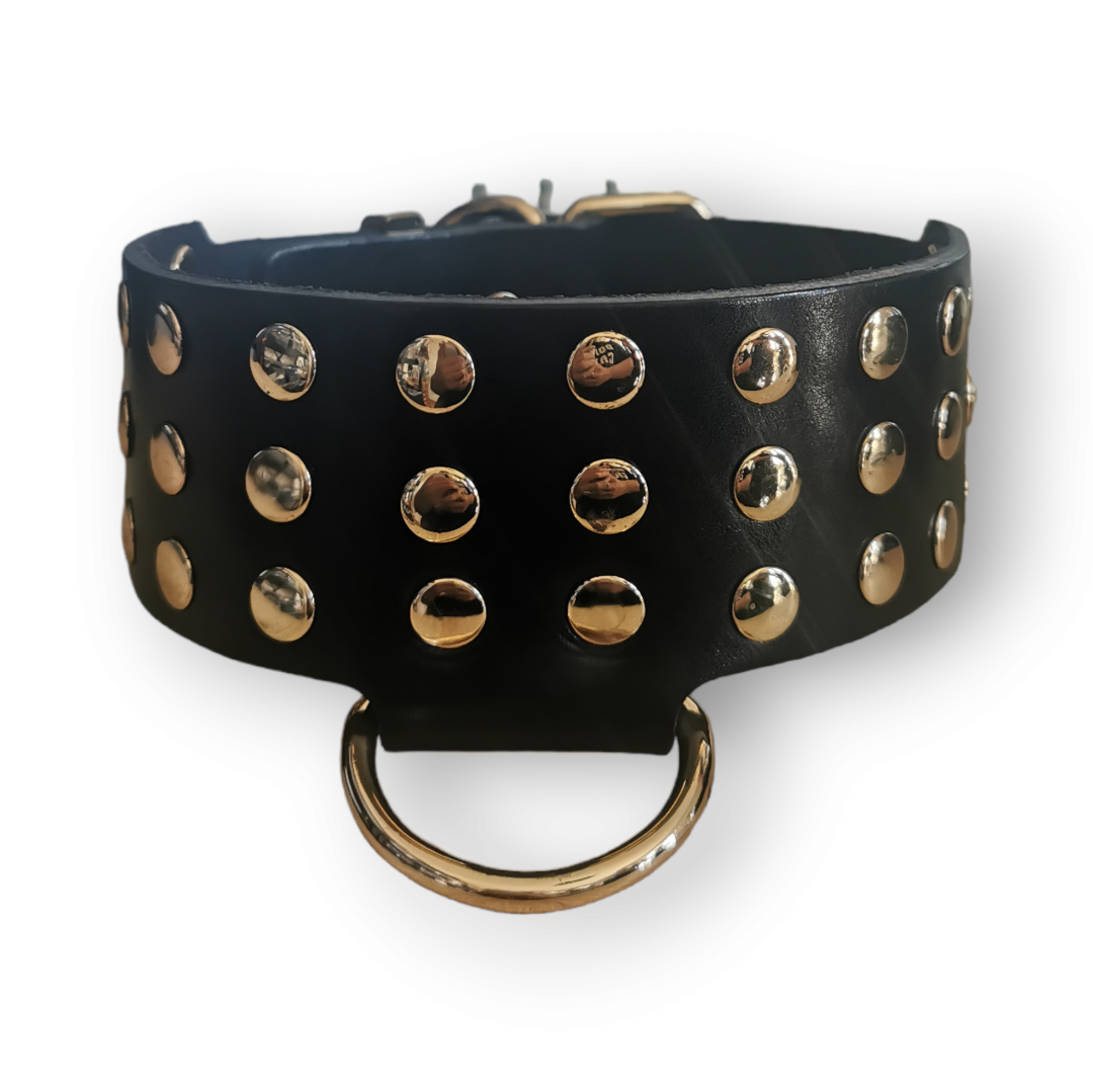 Collar "Alex"