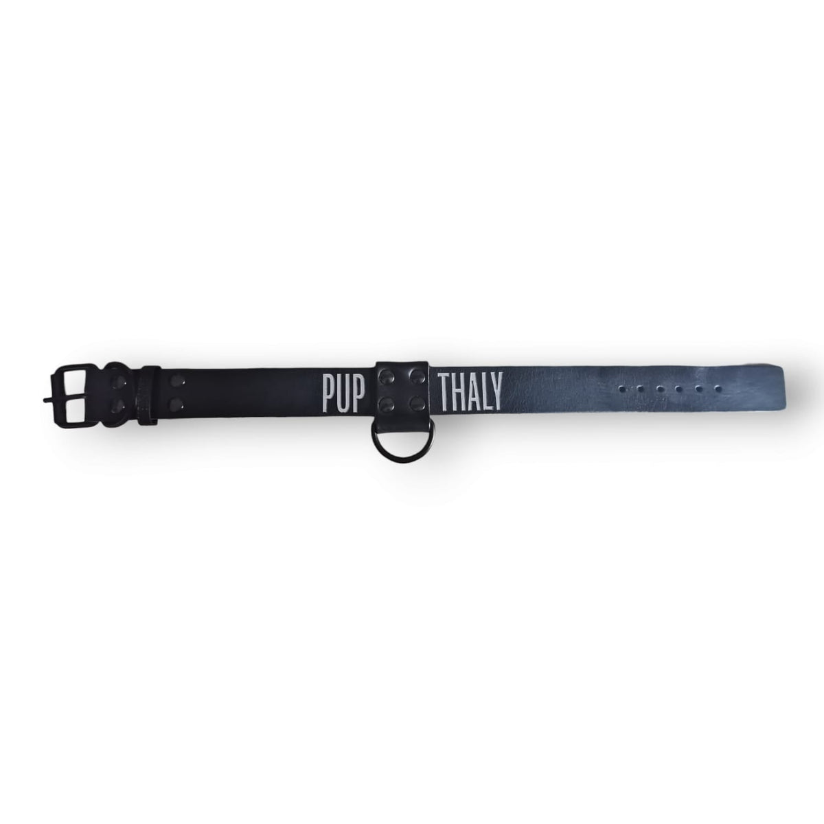 Custom Sub Collar with Name