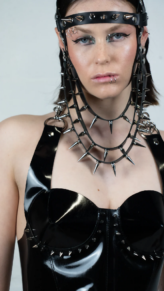 Leather Head Harness 