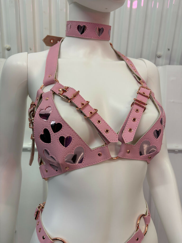 Pink 'Queen of Hearts' Bra, Thong & Collar Set.