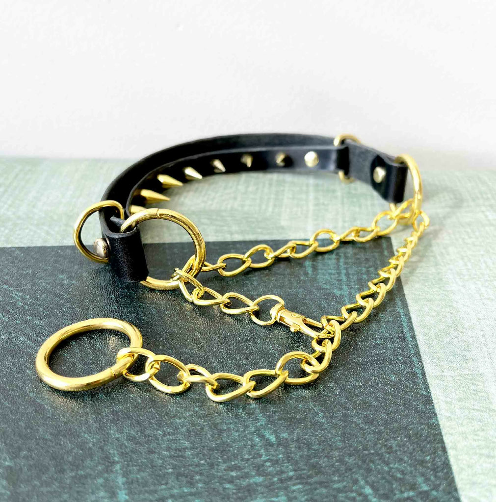 Compliance Spiked Leather Martingale Collar