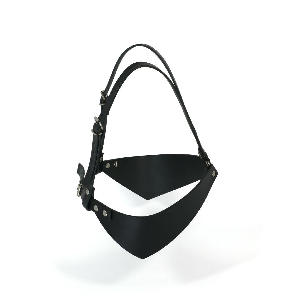 Leather Bra Harness
